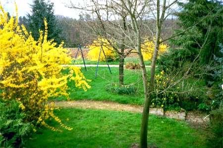 le jardin, à l'entrée du gîte
