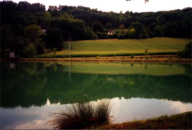 L'tang de la location de vacances